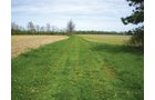 Property photo 4 - 160 Acres in 4 Tracts - Building Potential and Cropland